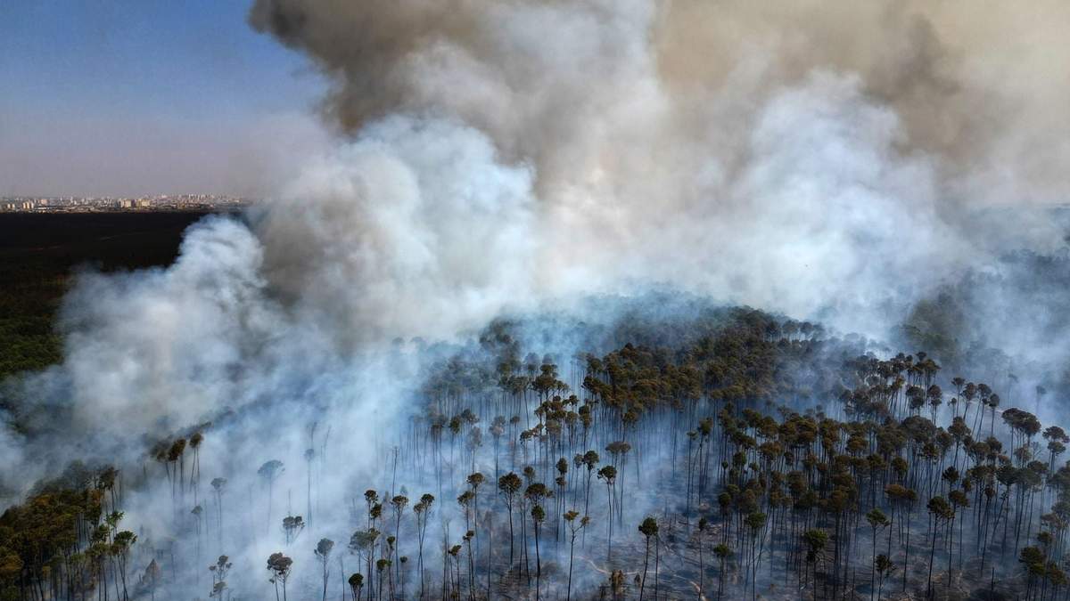 Incendios en Brasil