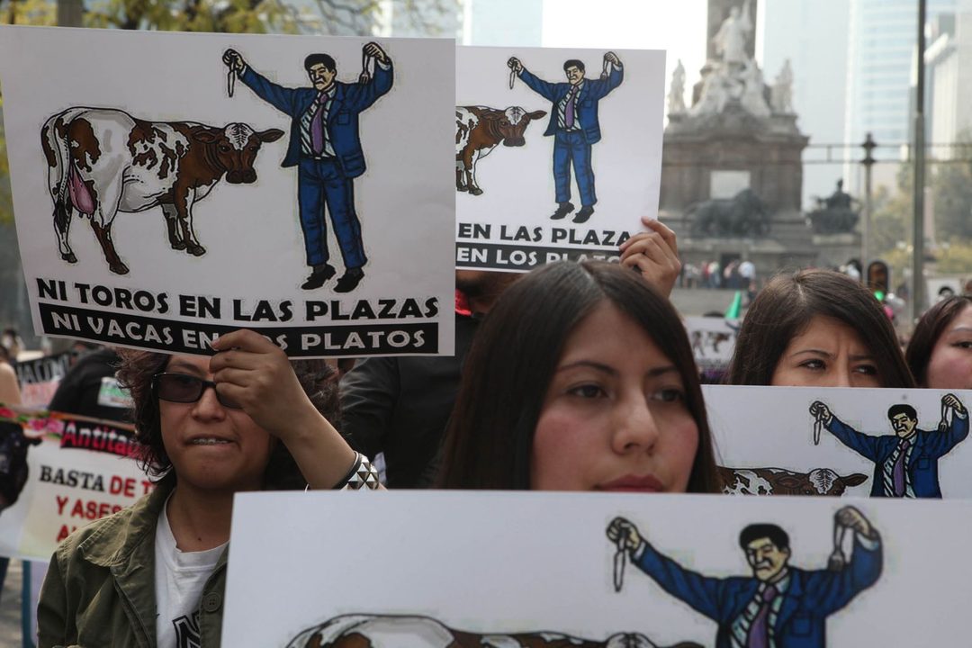 Imagen de WhatsApp 2024-01-27 a las 15.02.13_f66708c9