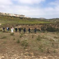 Localizan seis osamentas tras operativo en Tijuana