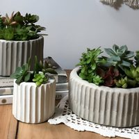 Con cartón, papel y esta idea fácil y económica, creá esta maceta chic y decorativa para llevar a otro nivel tu deco