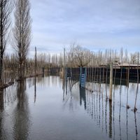 Elías Sapag cuestionó que la Isla El Porvenir sea habitada: "Es parte del río"