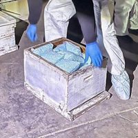 En muertes violentas de BC, Semefos detectan fentanilo en la sangre