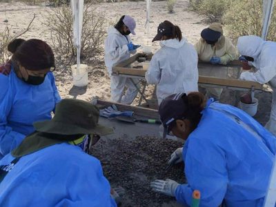 Desapariciones en México sí son crímenes de lesa humanidad: FIDH respalda asistencia de la ONU