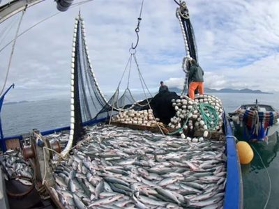 Gobernadores de la Patagonia expresaron su preocupación por las modificaciones en la Ley de Pesca