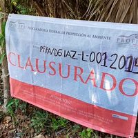 Denuncia la Profepa el quebrantamiento de sellos de clausura en Área Natural Protegida de Tulum