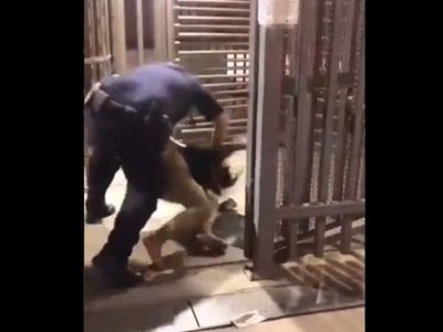 Agente fronterizo somete a una mujer que le escupió en la cara (Video)