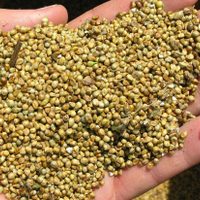Ven necesario nivelar el fomento productivo con las políticas sociales para atender la carencia alimentaria
