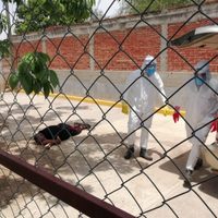 Hombre con síntomas de covid-19 muere en la calle cuando iba por atención médica