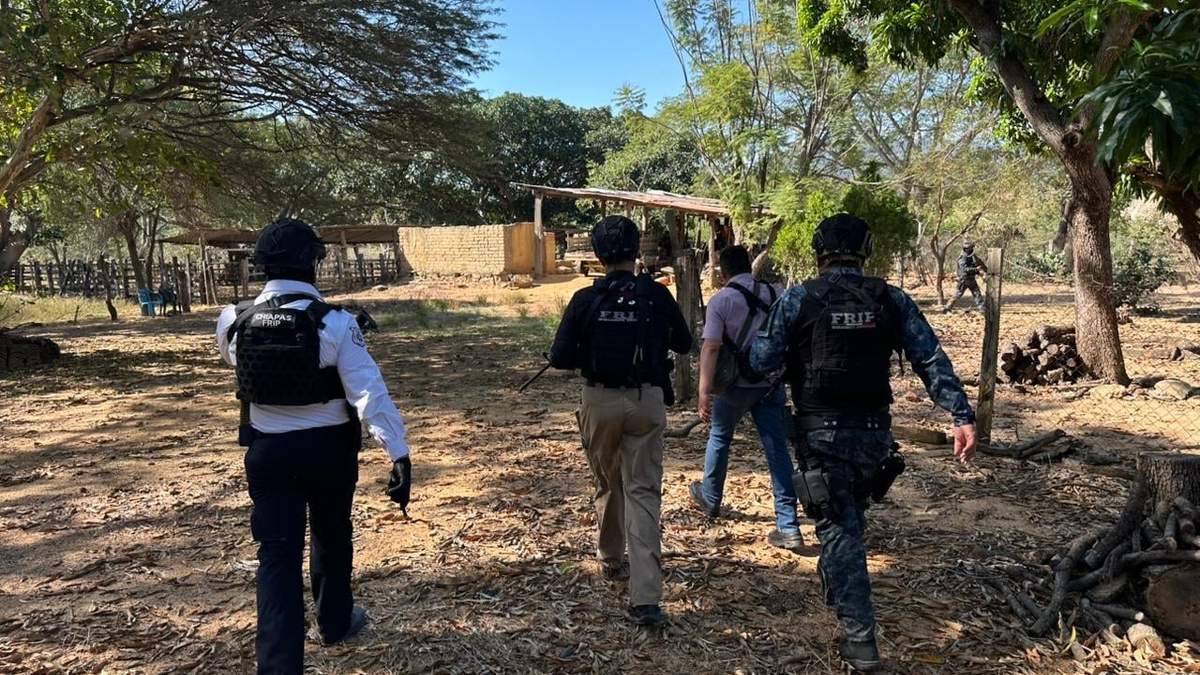 Labores de investigación