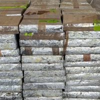Decomisan carga de metanfetaminas escondida entre pepinos y chile morrón; valía 14 mdd