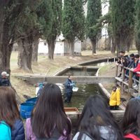 Legisladores proponen que alumnos de cuarto grado realicen una promesa por el cuidado del Ambiente