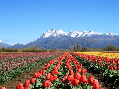 Imperdible: Trevelin, en Chubut, fue elegido como uno de los tres pueblos mágicos de la Argentina