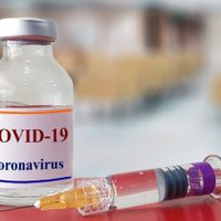 Anuncian que la vacuna contra el coronavirus podría estar lista en los próximos meses