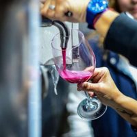 Neuquén celebró el Día del Malbec con eventos, tours y descuentos en toda la provincia