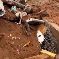 Con maquinaria pesada, constructora destruye albergue para mascotas en Ensenada