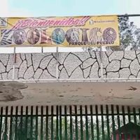 Lobo ataca a un niño en el Zoológico de Nezahualcóyotl; peligra el brazo del menor