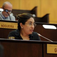 Neuquén: destacada diputada del Frente de Todos dio positivo en coronavirus