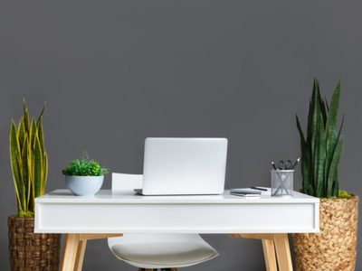 Claves del Feng Shui en la oficina: la deco para disminuir el estrés y aumentar tu productividad