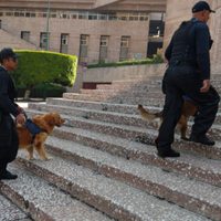 Desalojan el Consejo de la Judicatura Federal por amenaza de bomba (Video)