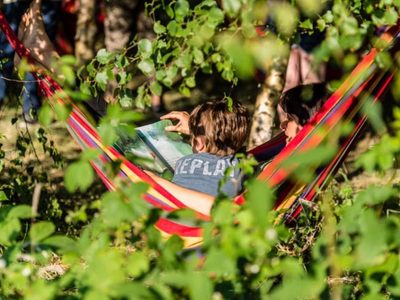 Crearon un mapa interactivo que reúne los sonidos de los bosques