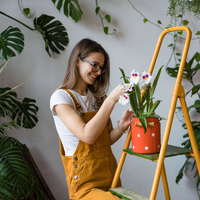 Decile adiós a las plagas de tu huerto o jardín gracias a estas plantas, tus mejores aliadas