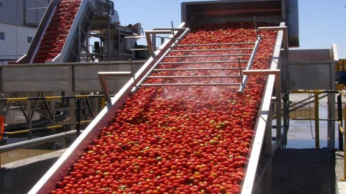 La importancia de producir alimentos. Fuente: (Facebook)