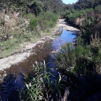 Se espera la llegada de repuestos para reparar el vertido cloacal en Las Piedritas