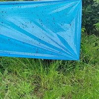 Probá esta "trampa cromática" efectiva para alejar a los insectos de tus plantas y jardín