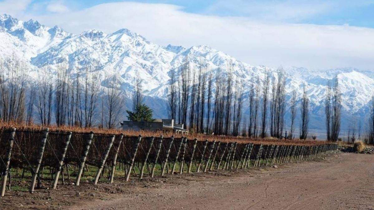 Bodega Zuccardi, la mejor del mundo. Fuente: (Instagram)