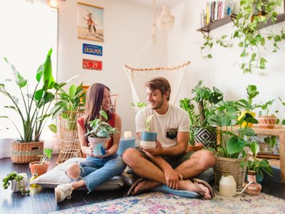 5 plantas que podrían convertirse en Cupido