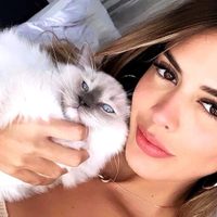 “¡En la cama no!” Shannon De Lima pone en riesgo su cobertor y fascina a sus fans