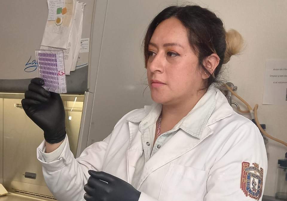 Aseguró que las vacunas anticovid-19 generan similar nivel de anticuerpos neutralizantes