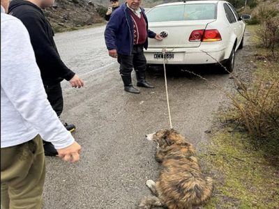Un hombre circulaba en su auto por la ruta 40 arrastrando a un perro atado a una soga