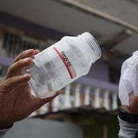Los mosquitos: de enemigos a aliados contra el dengue