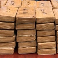 Fiscalía confirma decomiso de más de 100 kilos de cocaína en Chiapas; hay dos detenidos