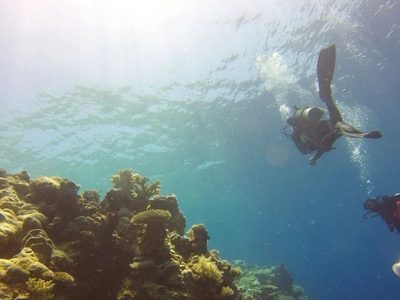 “El Niño” podría ocasionar pérdidas de corales y altas temperaturas oceánicas sin precedente