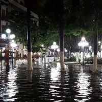 Torrencial lluvia inunda el corazón del Puerto de Veracruz (Videos)