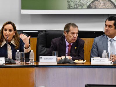 La dirigencia del PRI pide unidad y aprueba nuevos lineamientos tras dimisiones