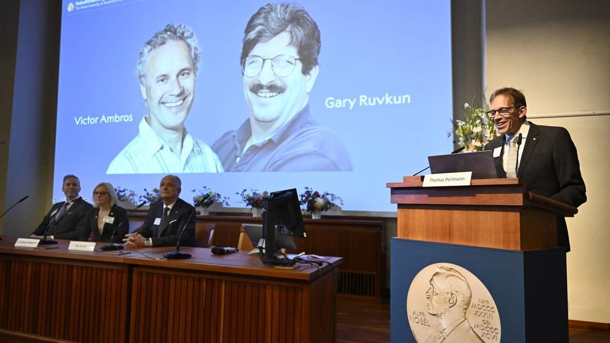 El presidente del Comité del Nobel, Thomas Perlmann, a la derecha, anuncia que los estadounidenses Victor Ambros, a la izquierda, y Gary Ruvkun, mostrados en una pantalla, ganaron el Nobel de Medicina de este año, durante una conferencia de prensa en el Instituto Karolinska de Estocolmo, Suecia