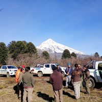 Renace Valle Magdalena: el plan del Parque Lanín para recuperar el bosque tras el fuego