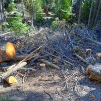 Denuncian un intento de ocupación ilegal de tierras fiscales en Villa Traful