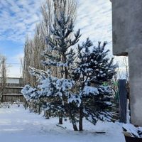 El Servicio Meteorológico Nacional activó una nueva alerta por frío extremo en una provincia argentina