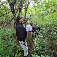 Encinas encabeza jornada de búsqueda de los 43 en Carrizalillo