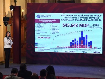 Álvarez-Buylla exhibe transferencias de Conacyt a empresas en gobiernos de Fox, Calderón y Peña
