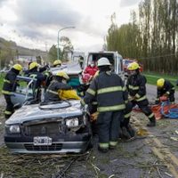Inesperado accidente sobre ruta 40: cayó un árbol y aplastó a un vehículo