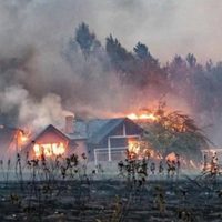 La Patagonia en llamas: Alberto Fernández visitará la zona afectada