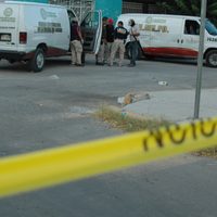 No alcanza la honestidad valiente para enfrentar la impunidad