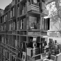Otoño Noir: Alistan festival de literatura policial y criminal