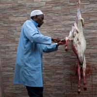 Musulmanes celebran el Eid al-Adha