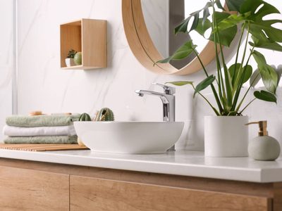 La famosa planta que atrae abundancia y podés tener en tu baño